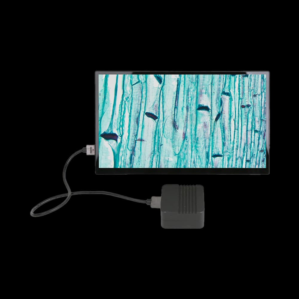CamPI4K133A