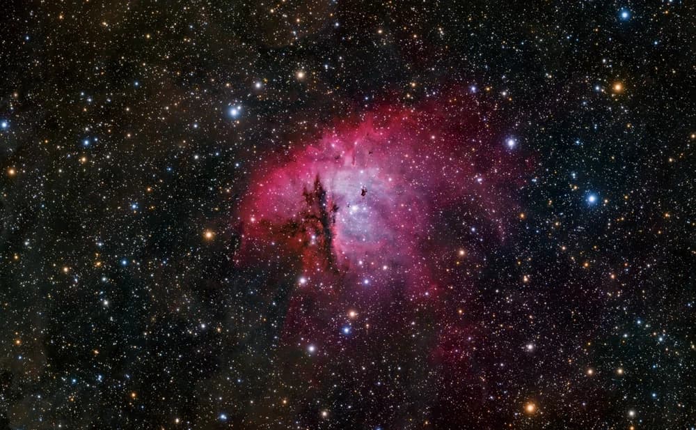 NGC 6979 Nebula (by Tree)