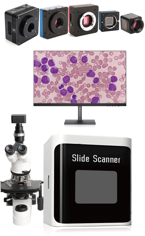 Microfluidic Flow Analysis