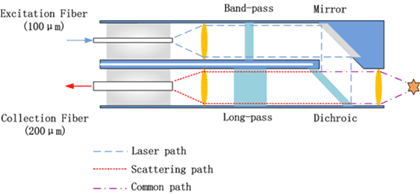 Schematic of a Raman probe showing clean-up, dichroic and long-pass filters in the laser and collection paths
