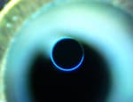 Fiber End-Face AR Coating