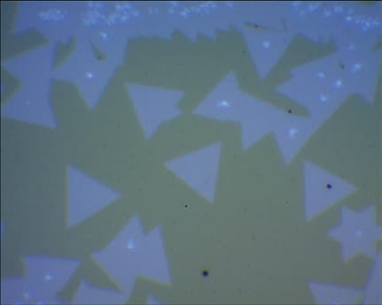 Rock inclusion — optical and Raman mapping