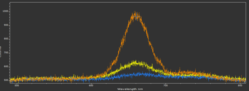 Polarization-resolved scattering spectra of a gold nanorod
