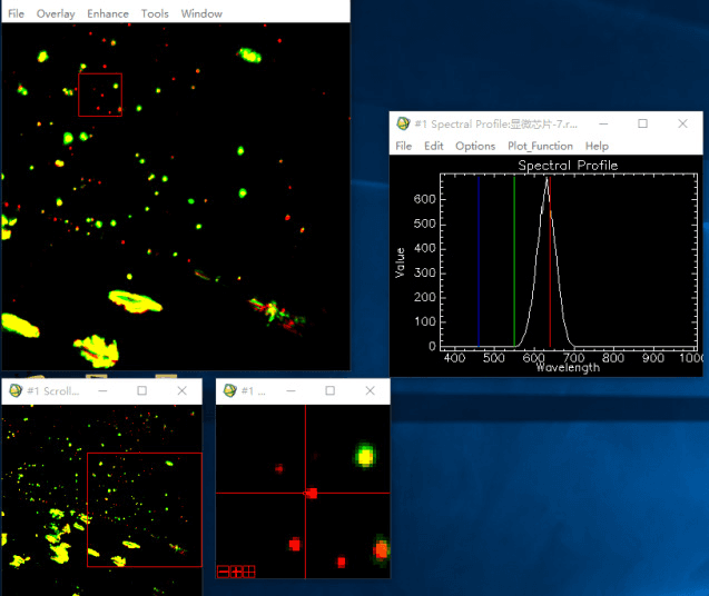 Dark-field image of different nanoparticles