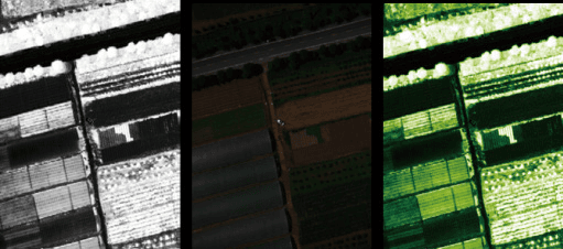 NDVI source, result, and density-sliced images
