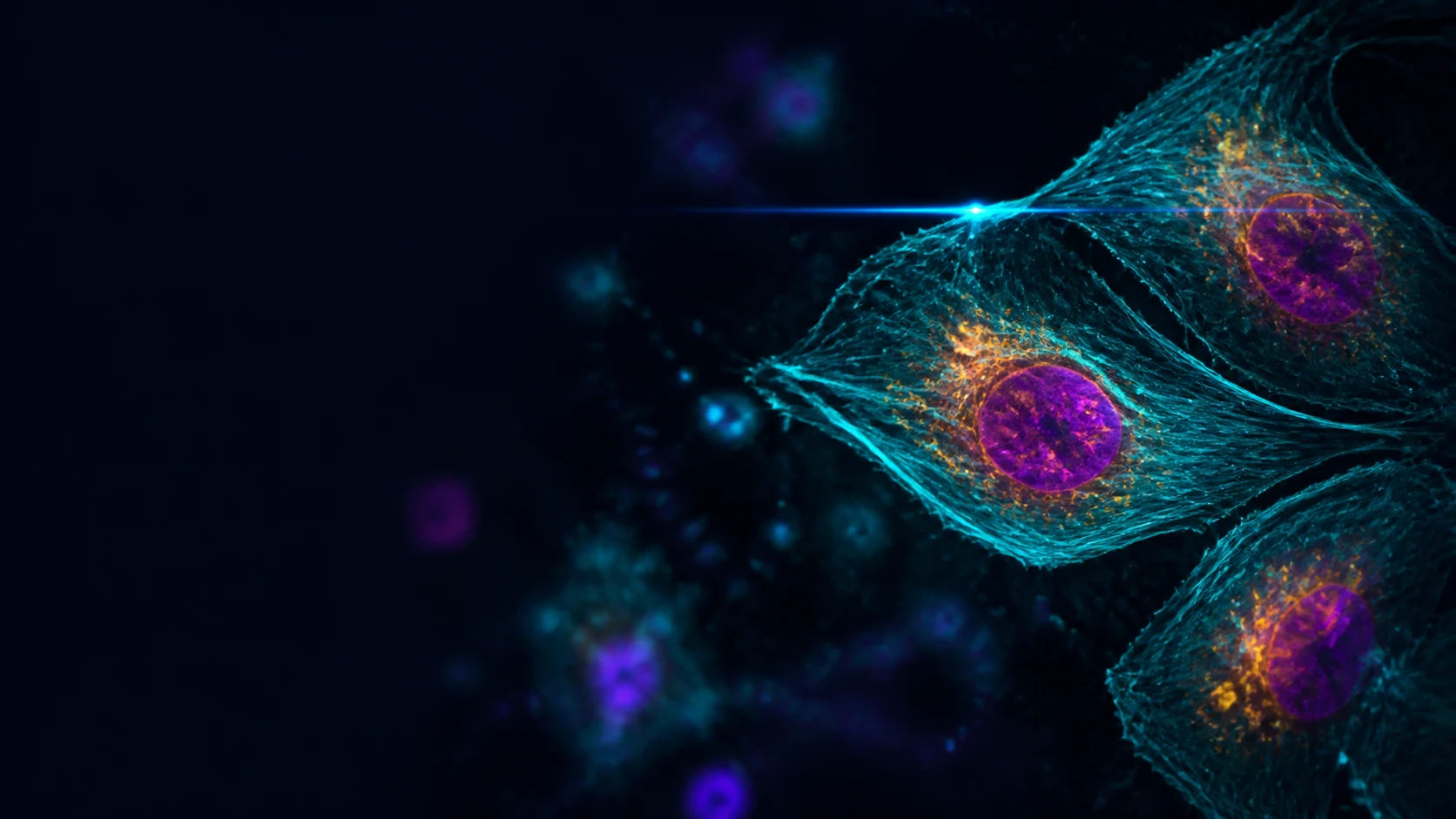 Confocal and fluorescence microscopy