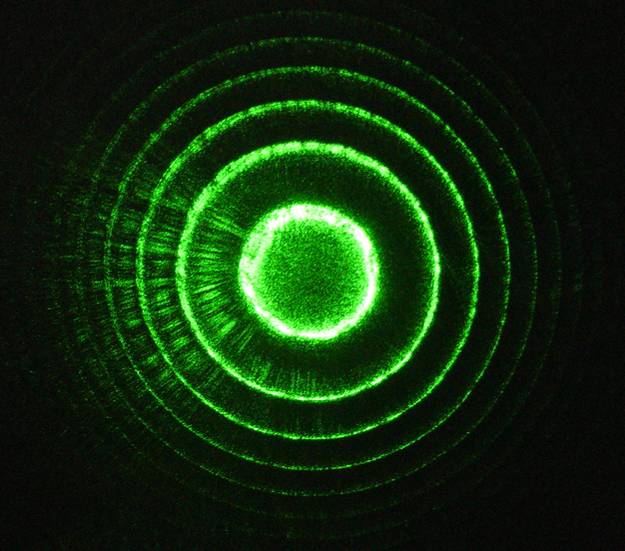 Cold atoms and quantum optics